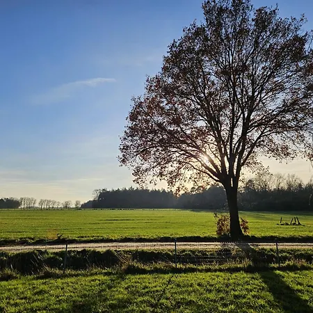Vakantiewoning Uutbloazen Holiday home