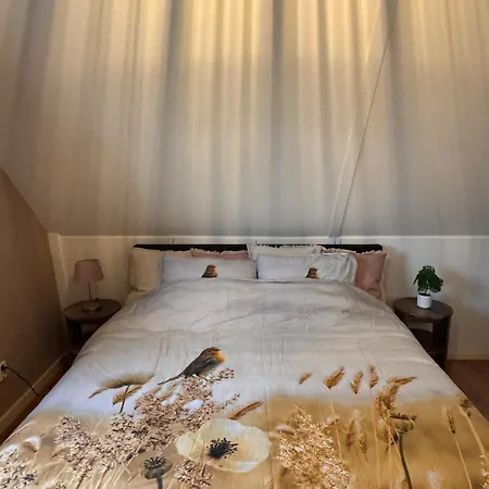 Vakantiewoning Uutbloazen Holiday home